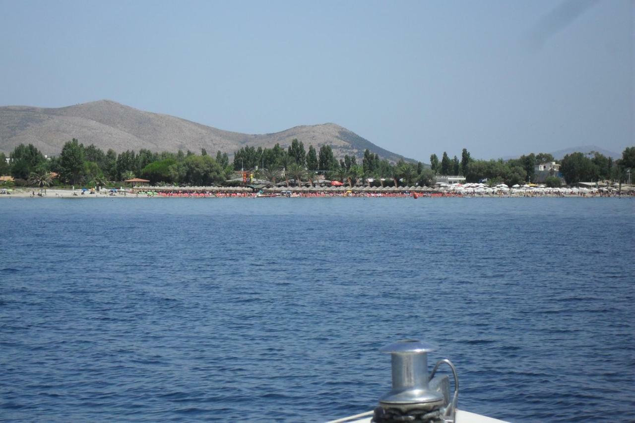 Marathon Beachside Homes Next To Schinias Beach Екстериор снимка